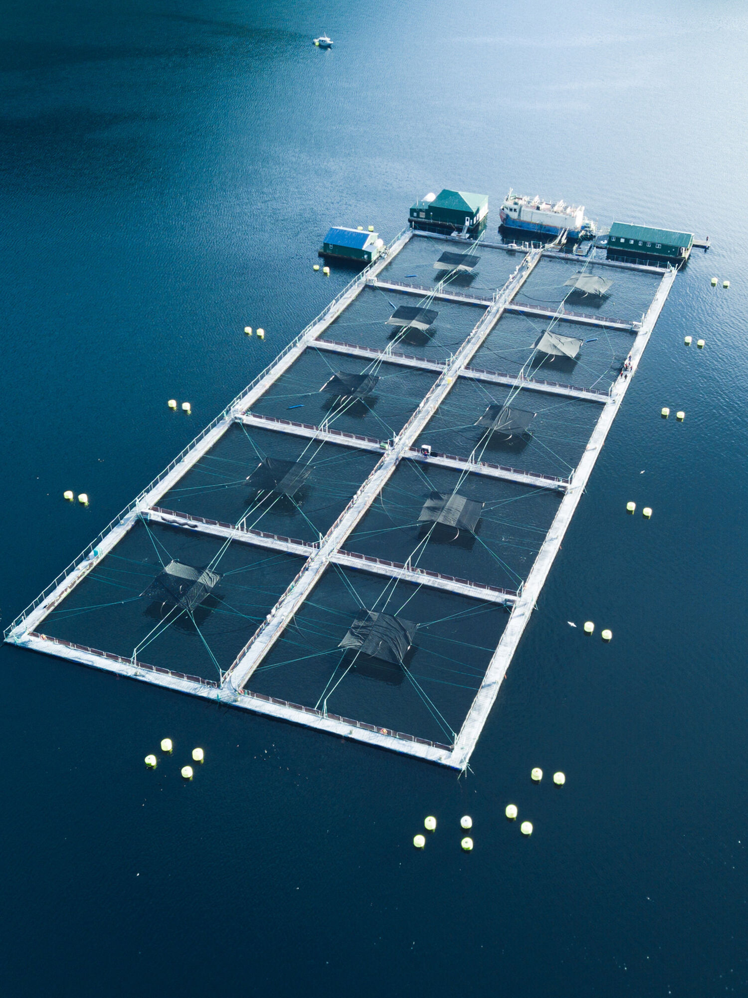 A sea site with 10 rectangular cages seen from above
