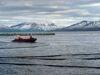 Stocking of kelp in the combined sea site in Steigen