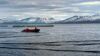 Stocking of kelp in the combined sea site in Steigen