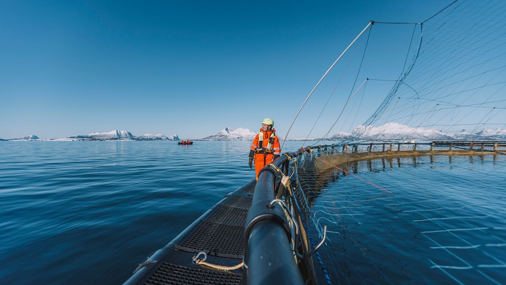 In the report we describe our preventive approach as vaccination, screening and monitoring in each of the operating regions, Norway, Chile and Canada. (photo: Karoline Pettersen)