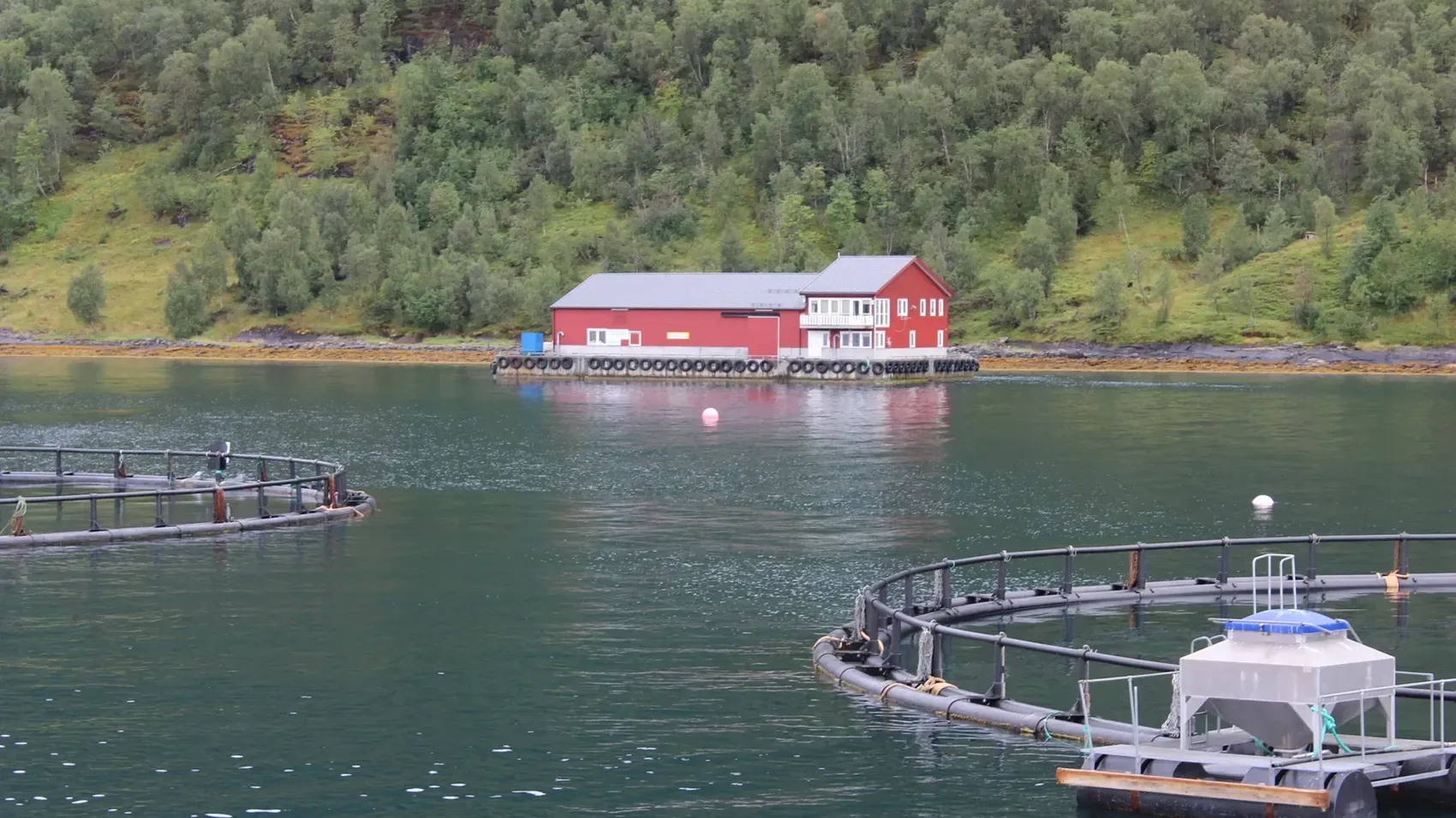 Oksøy site in Nordland (photo by Ander Furuseth/Intrafish.no)