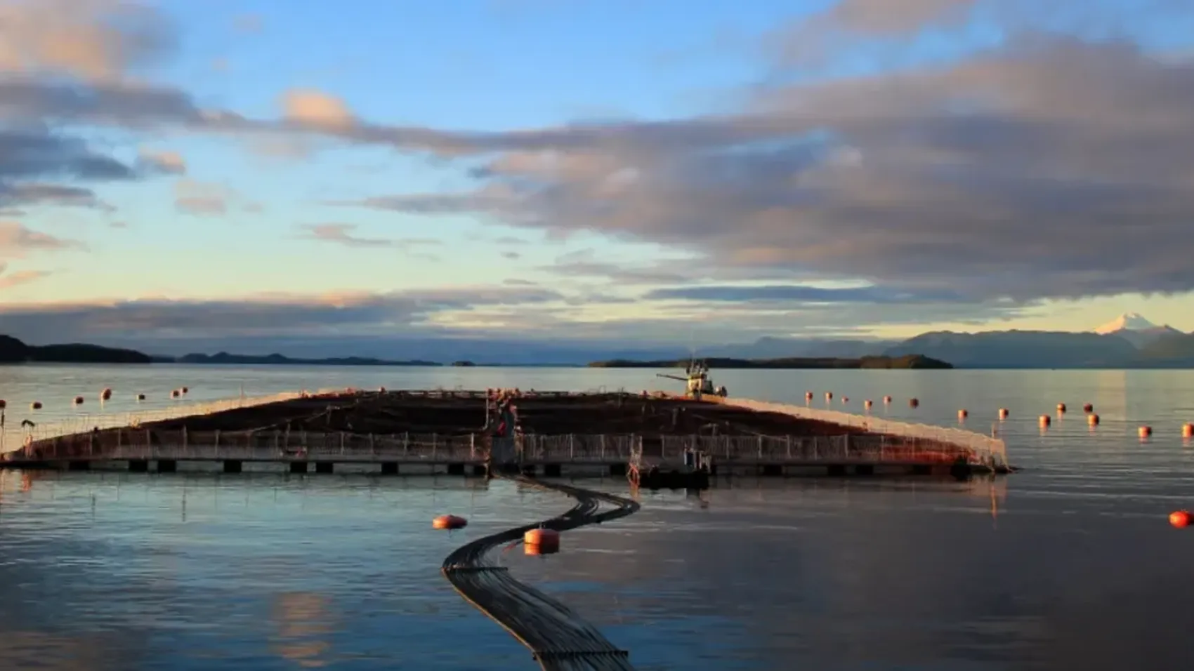 Cermaq has offered fresh water and farming sites to promote further development of Pincoy