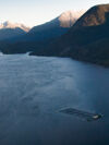 A sea site in BC, Canada seen from above