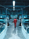An employee walking between large tanks in a freshwater facility