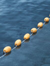 Net with float in the sea