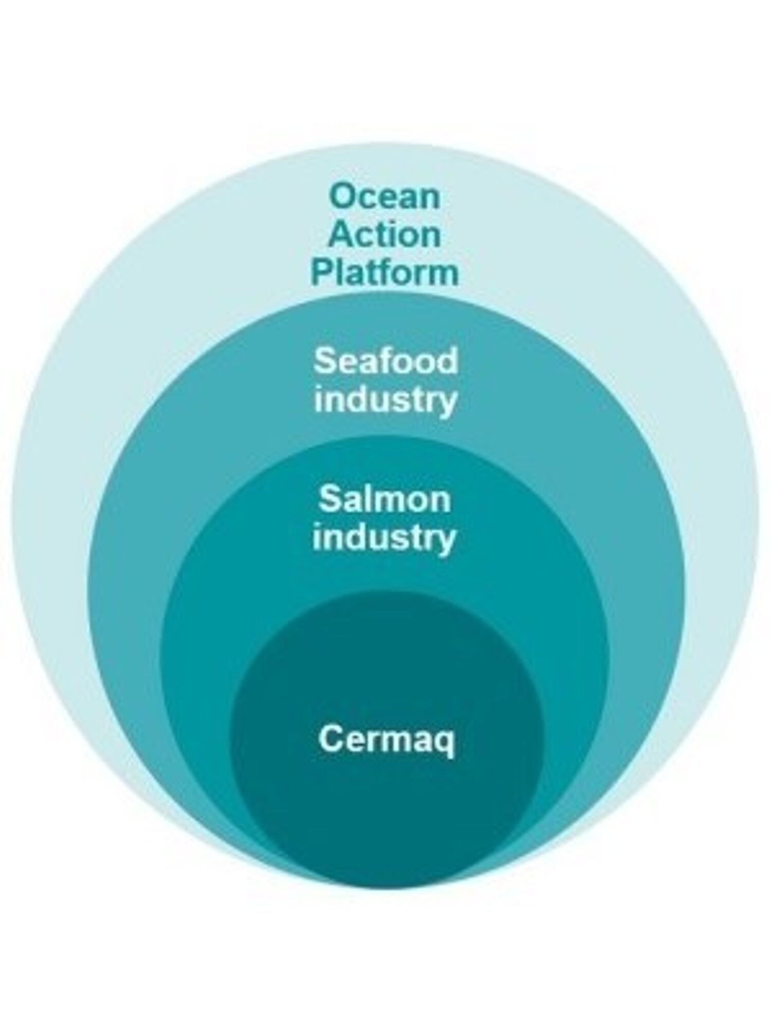 Illustrating the levels of Cermaq's partnerships from salmon industry, expanding to seafood industry and further to the ocean industries.
