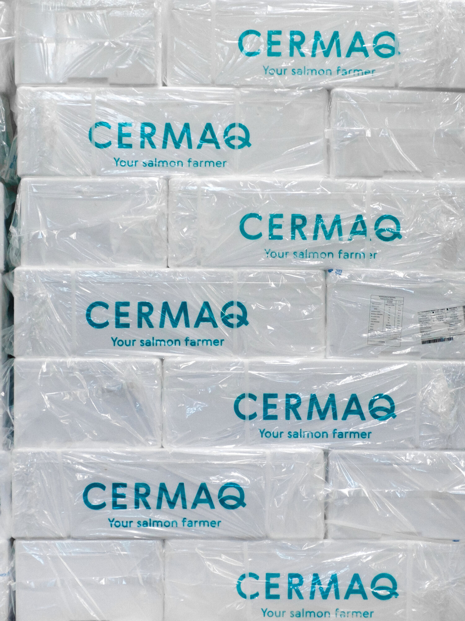 Boxes of Cermaq salmon