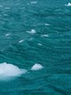 Ice blocks floating in sea water