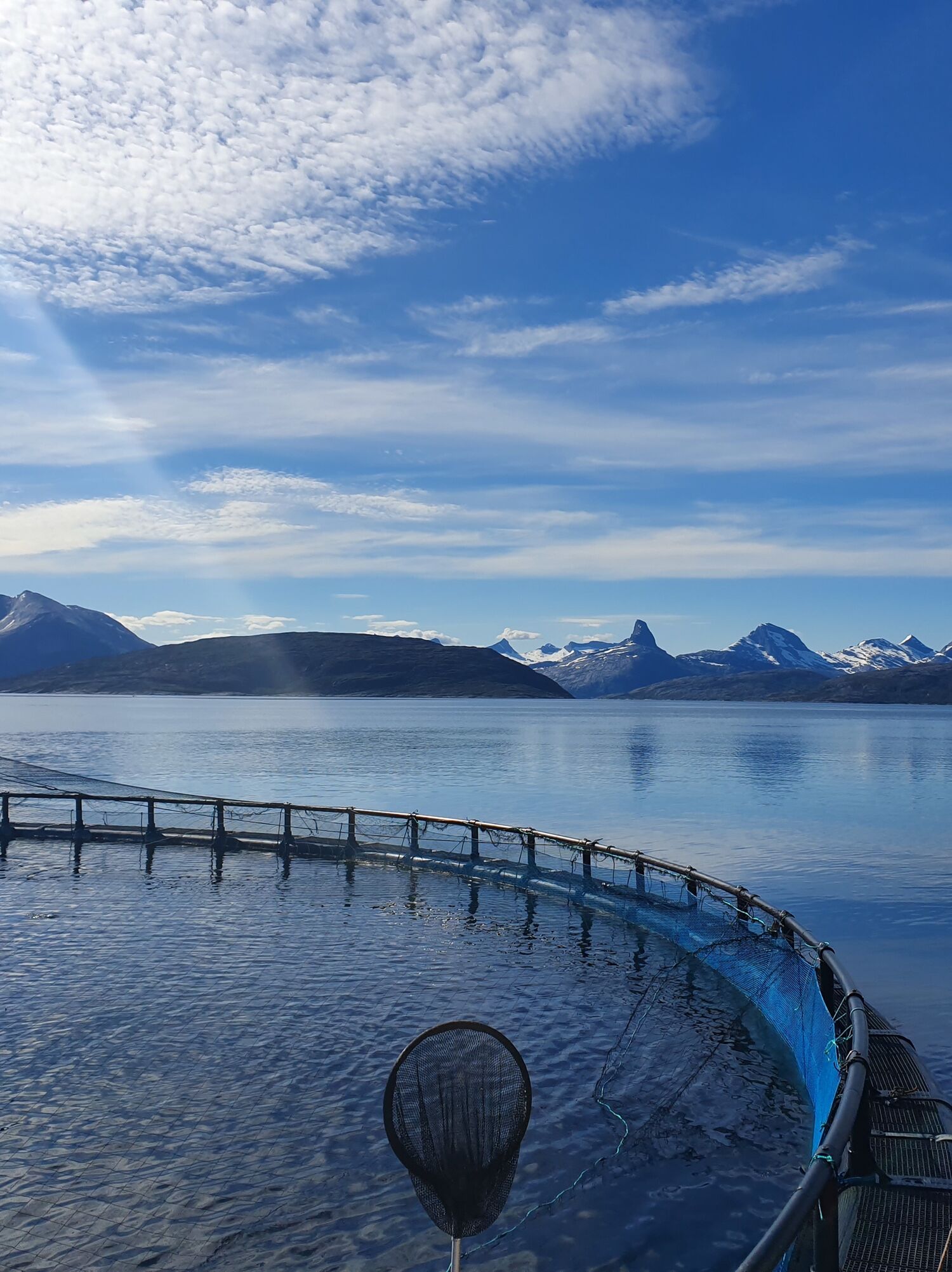 Bilde av sjø-lokaliteten Hjertøya