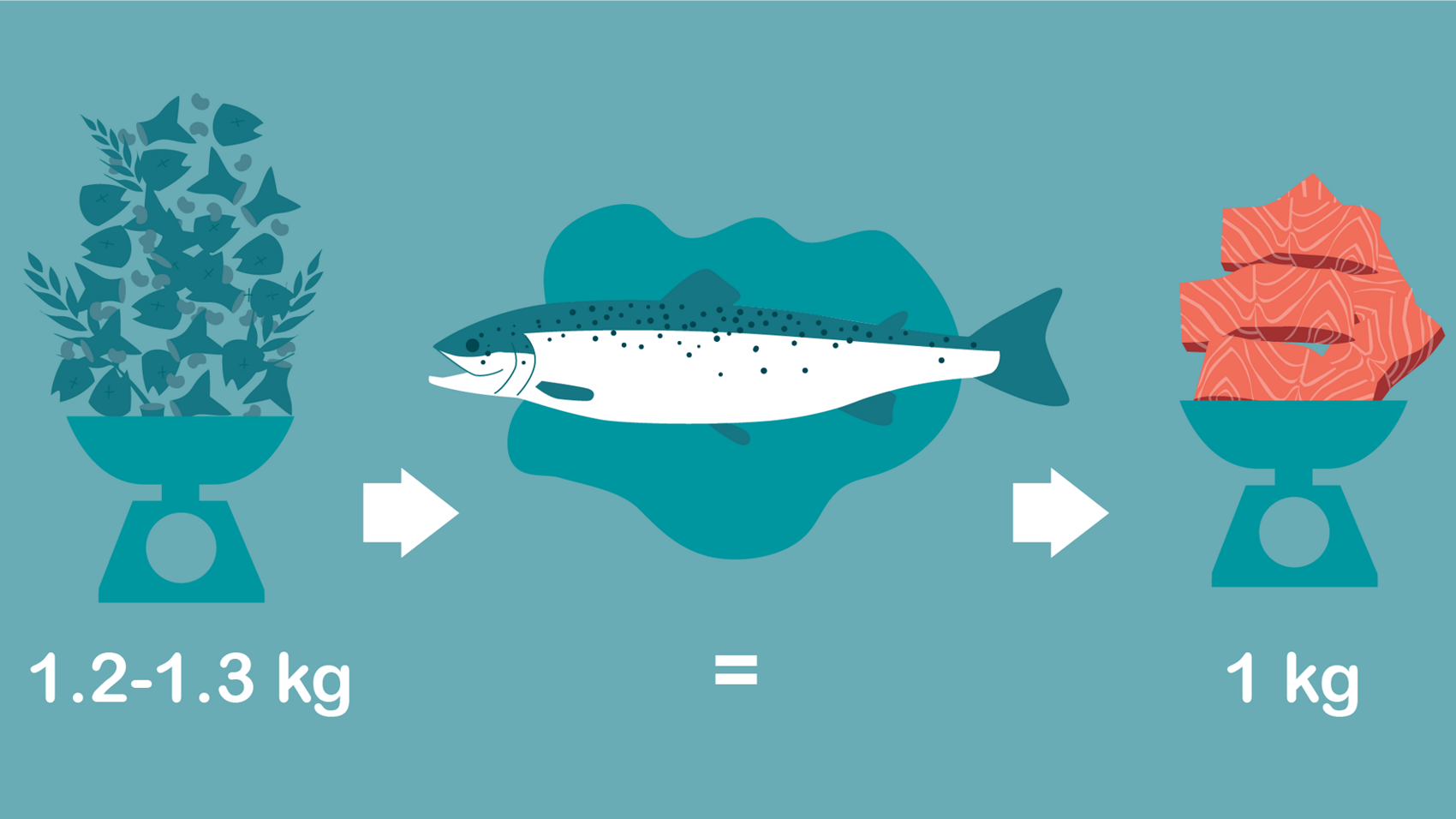2 Fish Feed for the Future 01
