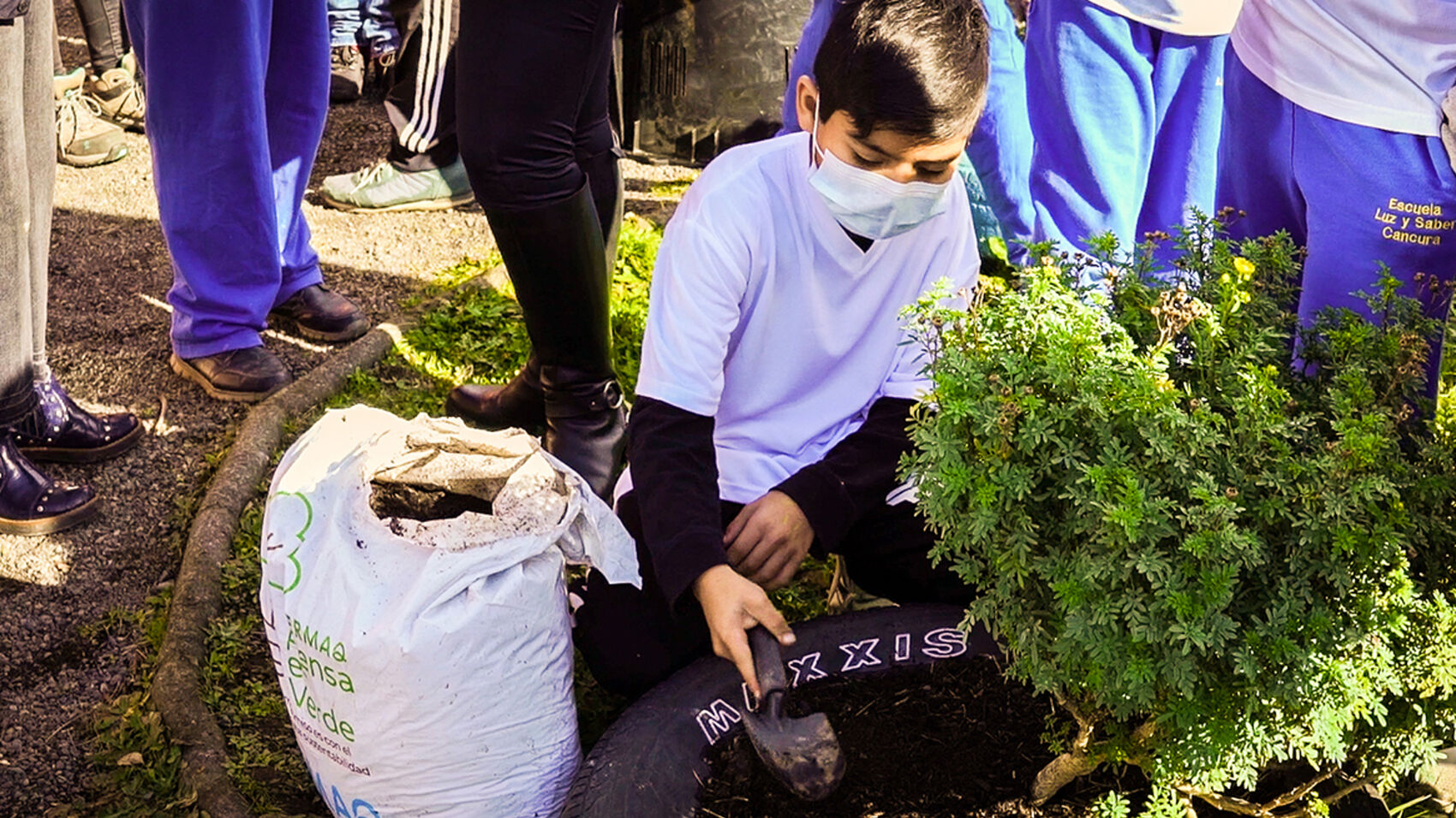 A greener way from salmon to compost and seaweed 02