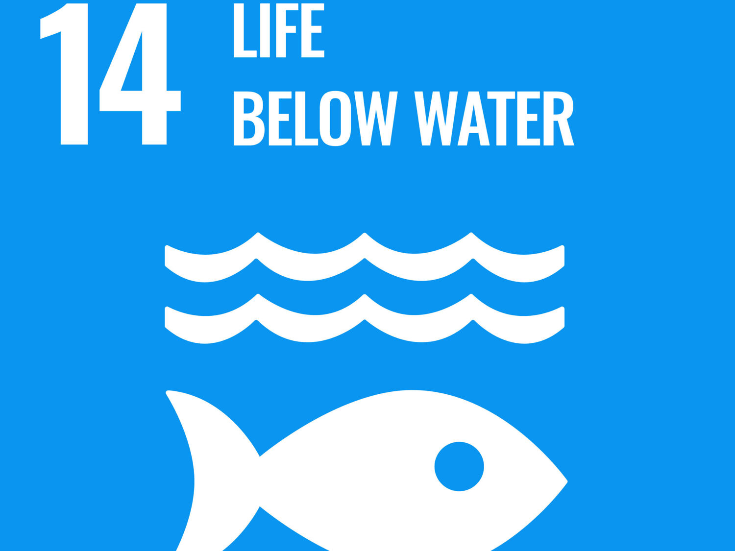 SDG14