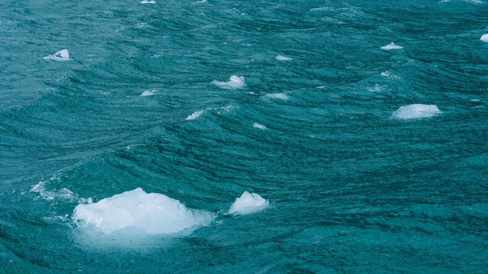 Securing full transparency and traceability in the marine value chain is a key priority for Cermaq.