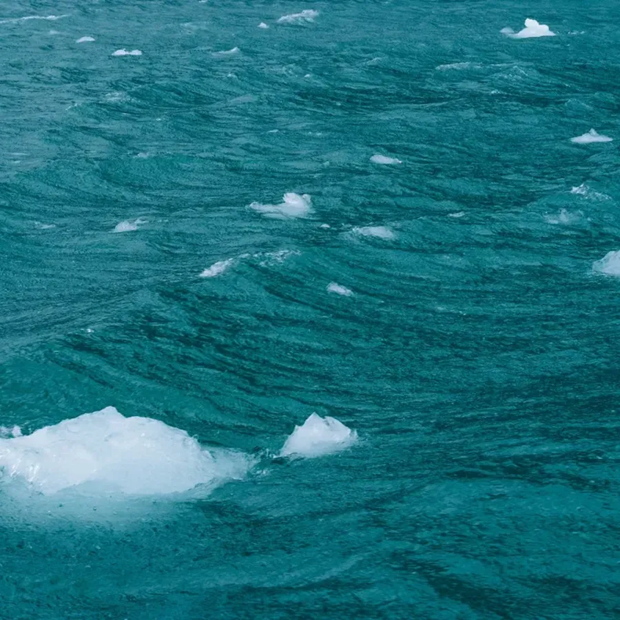 Securing full transparency and traceability in the marine value chain is a key priority for Cermaq.