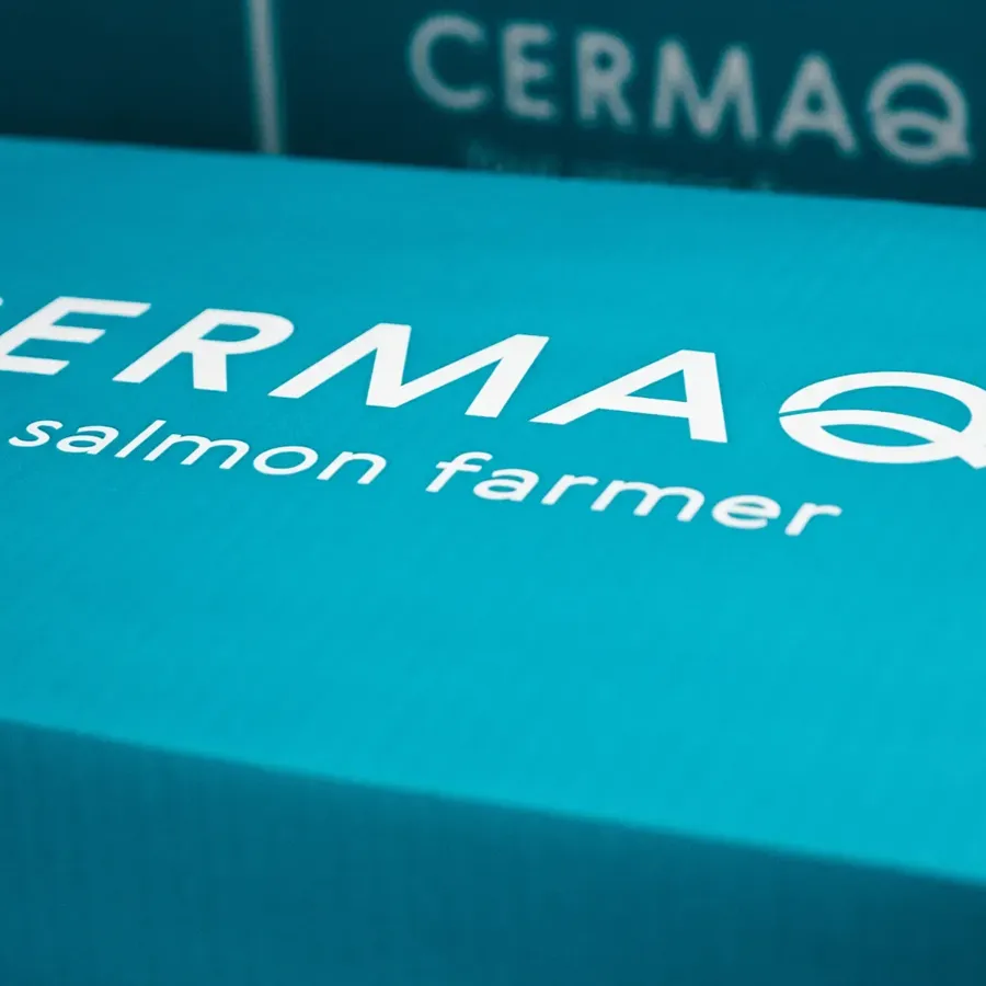 Cermaq Group expands its Board of Directors with three Board members