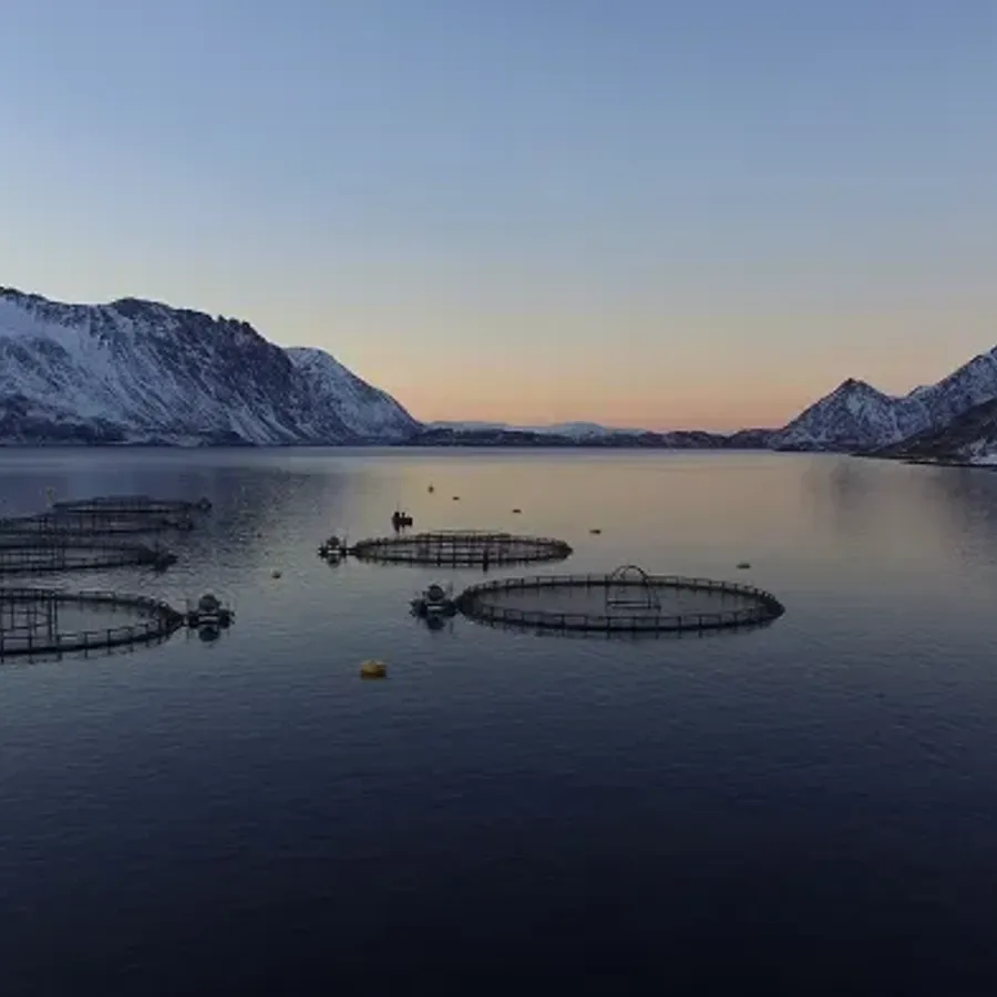 UN report calls for increasing food production in the ocean