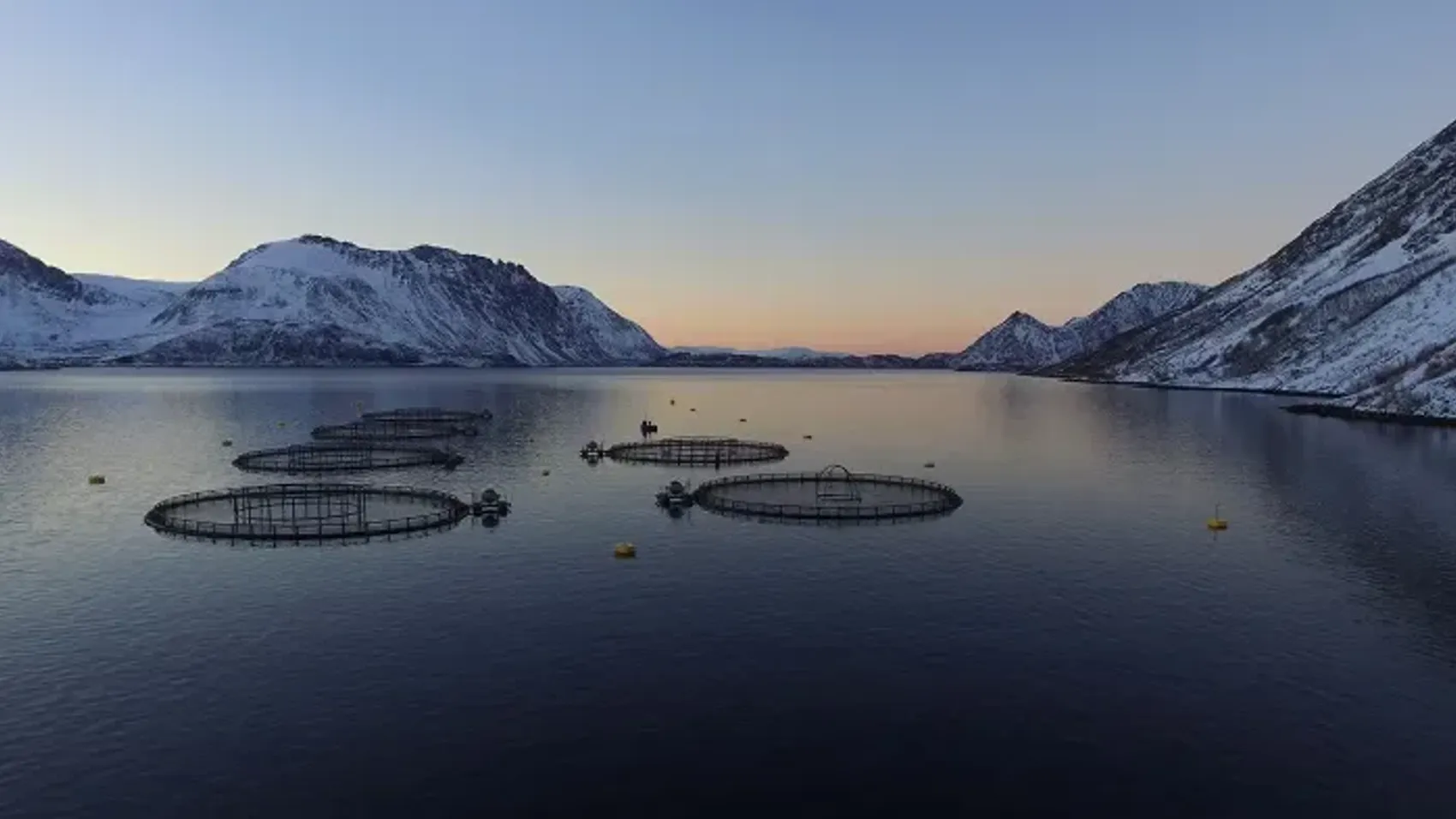 UN report calls for increasing food production in the ocean