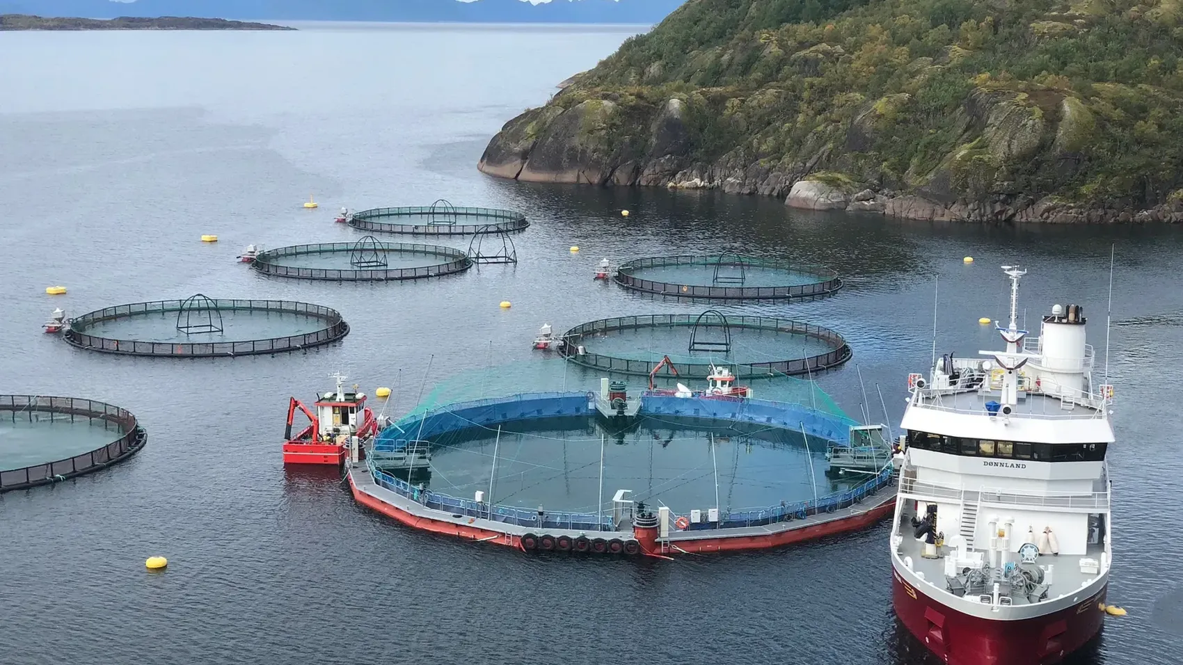 Smolt is put into Cermaq's new closed containment system in Horsvågen