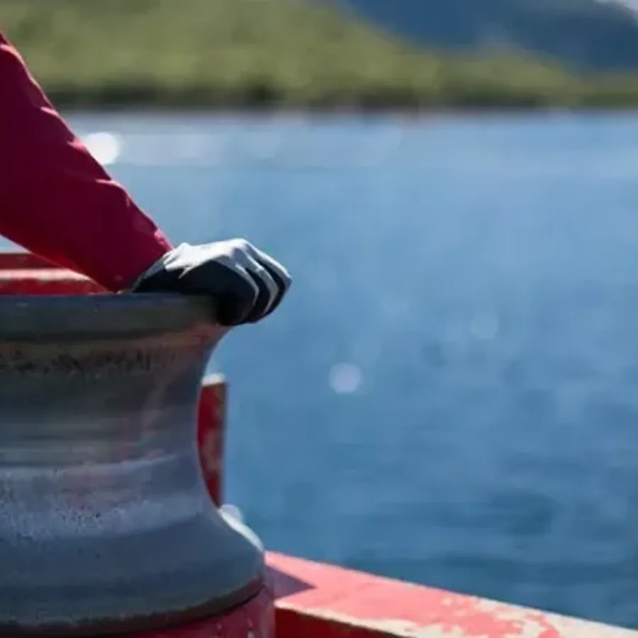 Cermaq's approach is transparency, partnerships and performance.