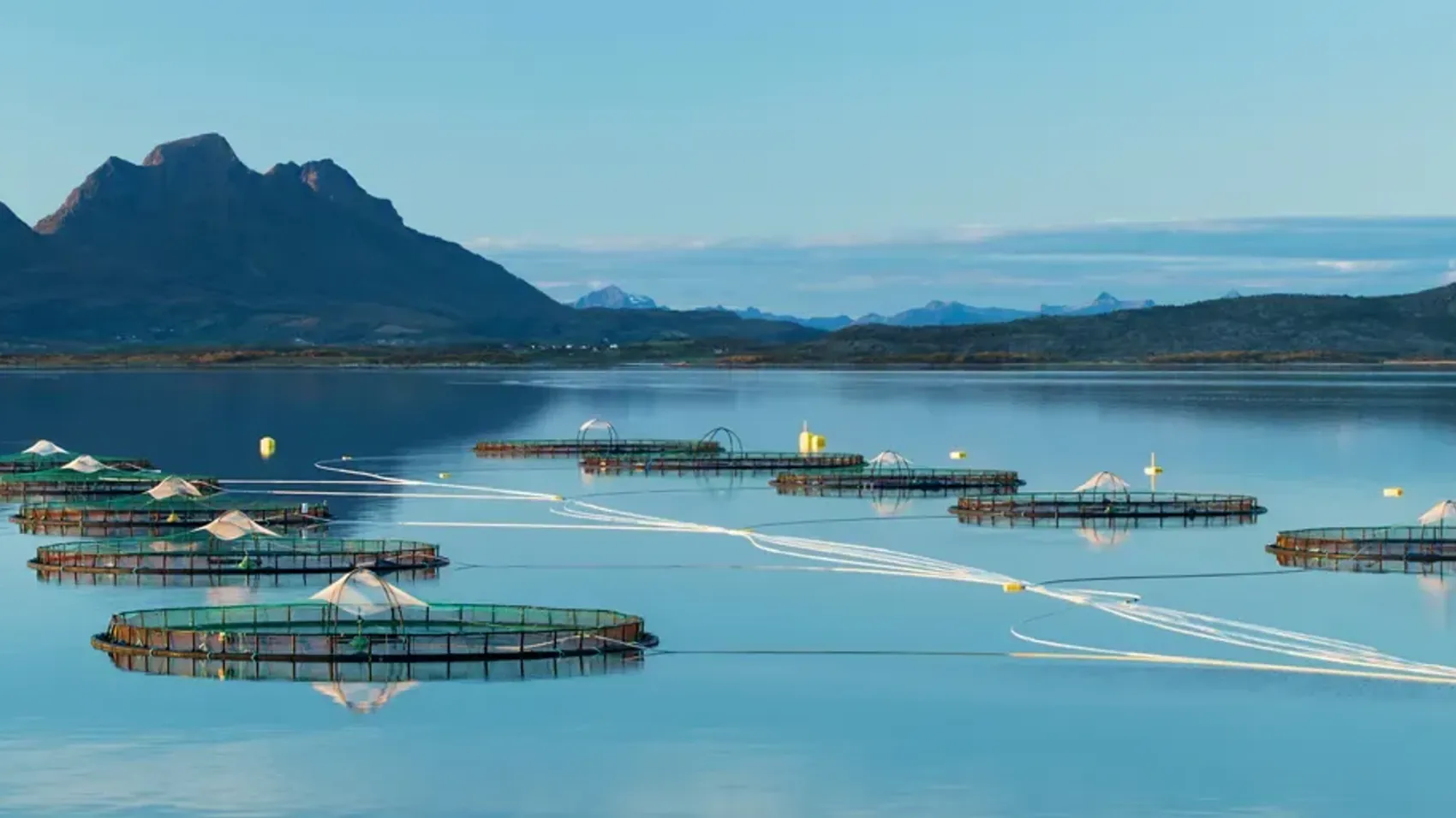 One of Cermaq's farming sites in Nordland, Norway