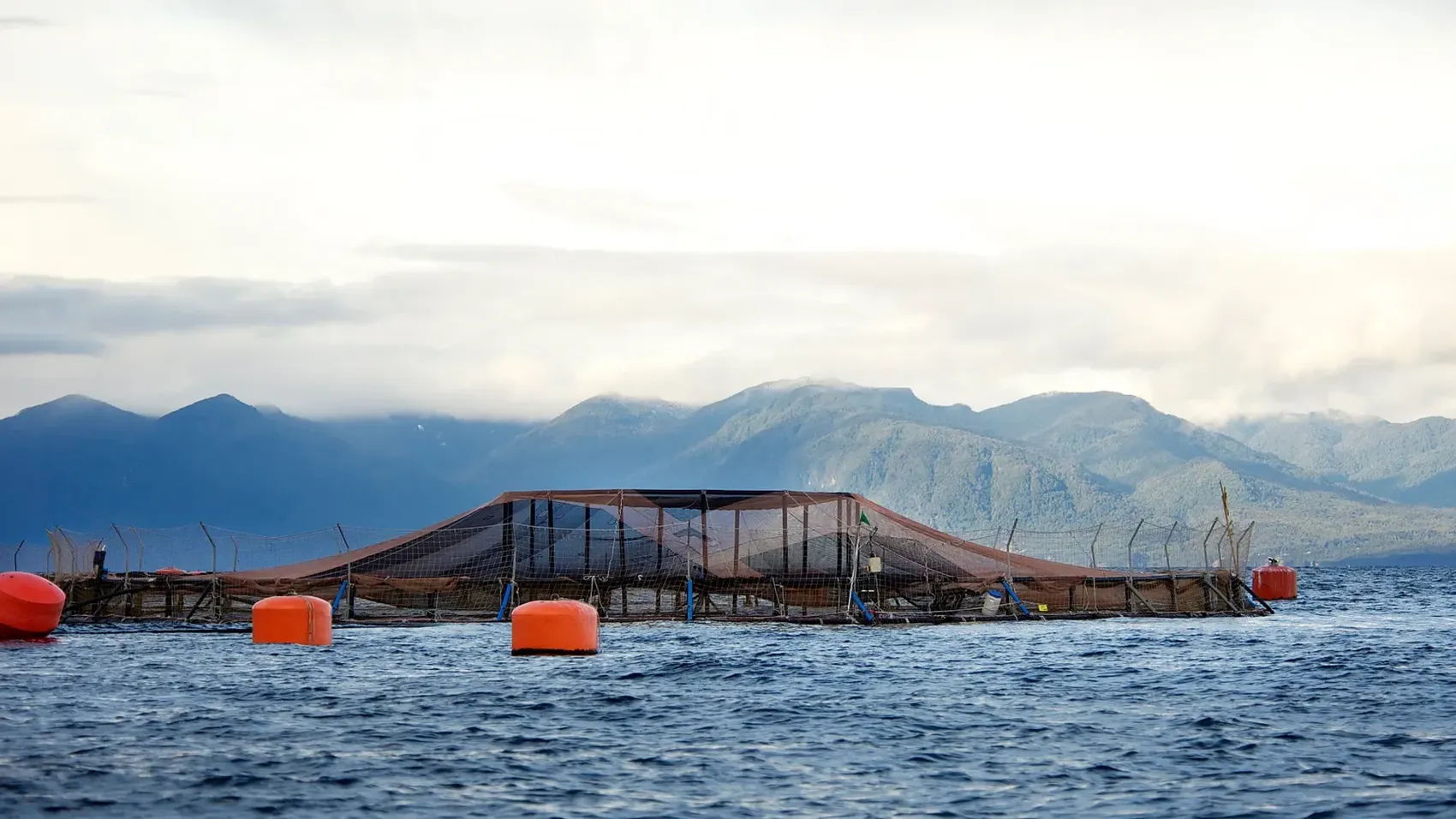 Cermaq farming site in Chile
