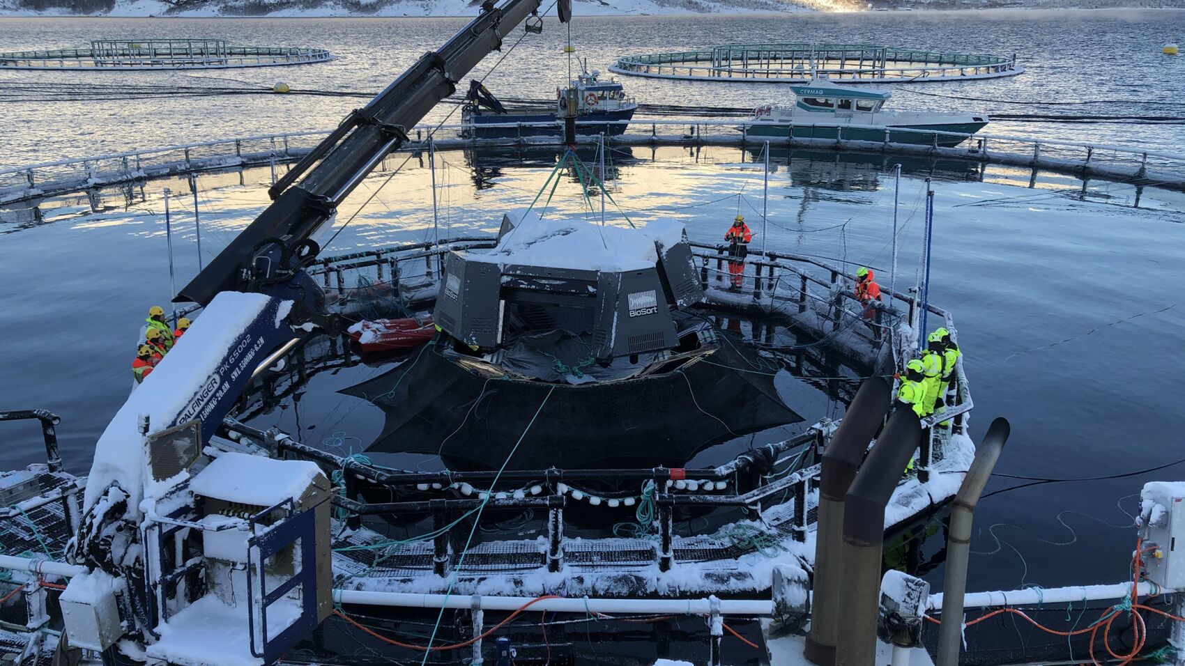 The iFarm camera sensor being installed at the sea site Martnesvika in Nordland, Norway