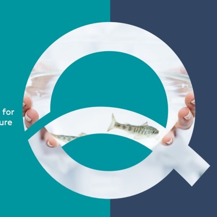 Cermaq's digital sustainability report can be found on cermaq.com