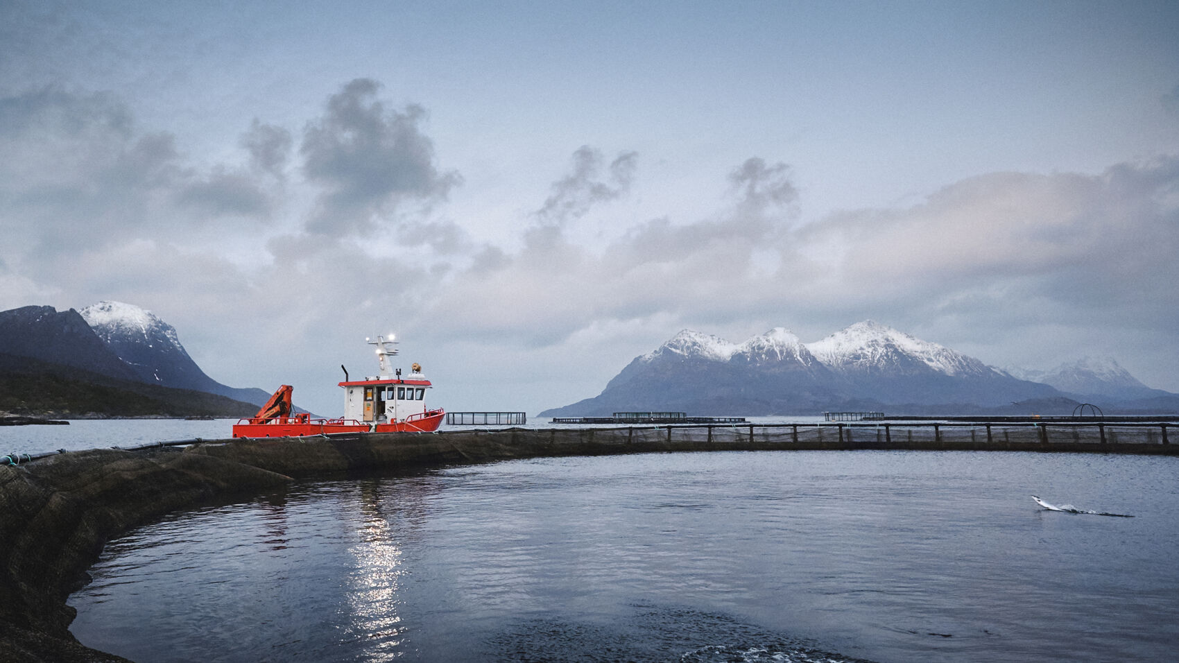 Cermaq contributes to traceability with blockchain