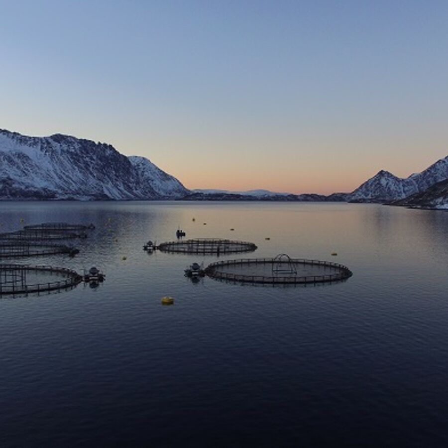 UN report calls for increasing food production in the ocean