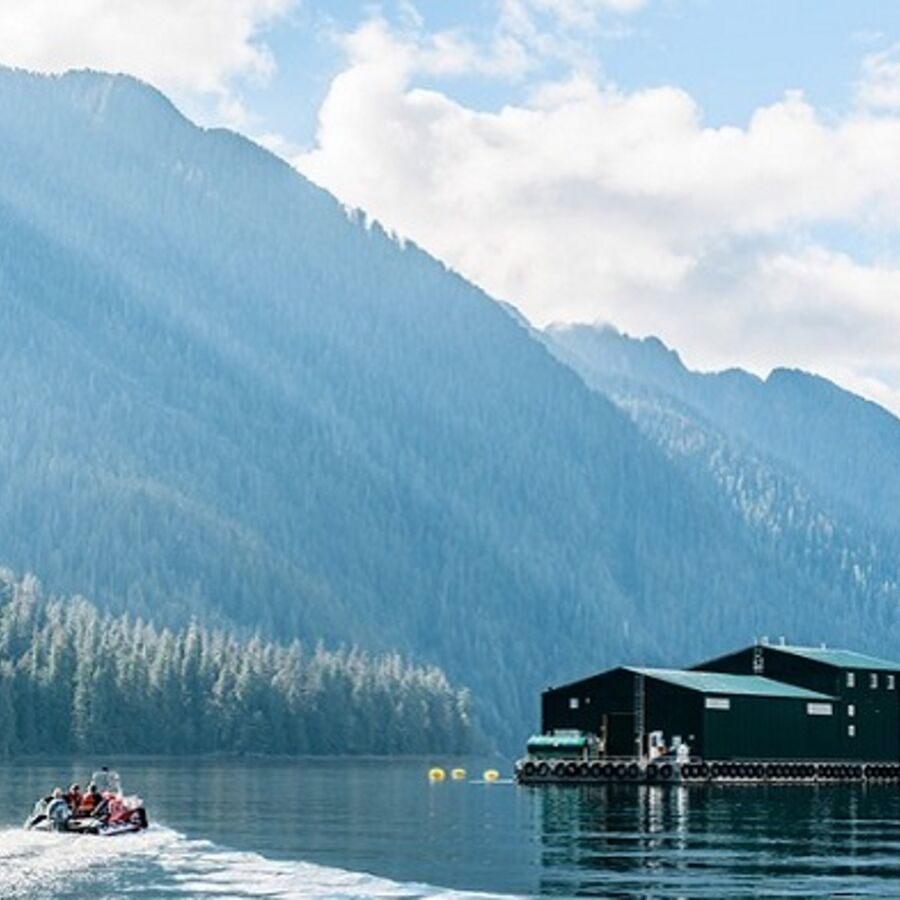 Cermaq's sustainability report provides detailed information on 36 performance indicators.