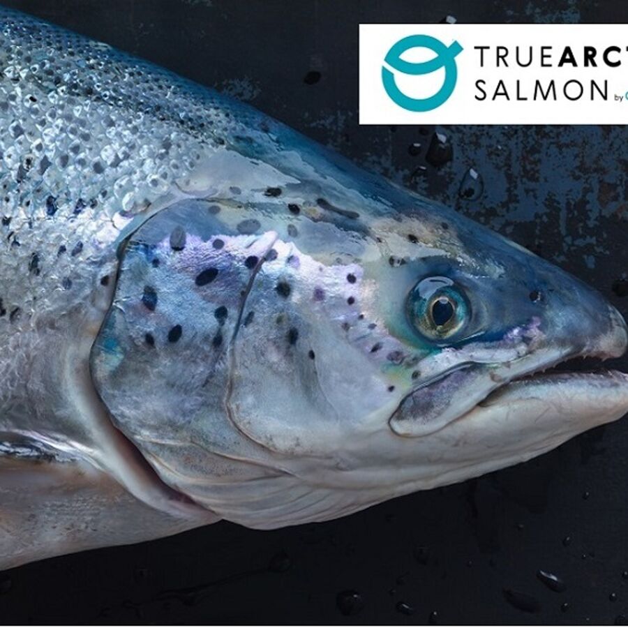 True Arctic salmon is raised north of the Arctic Circle, where the water is cold and the salmon grows slower, resulting in specific product qualities.