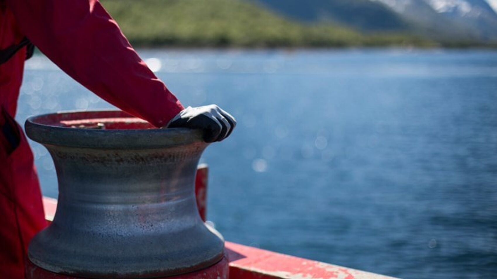 Cermaq's approach is transparency, partnerships and performance.