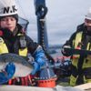 Cermaq publishes quarterly sustainability results on key indicators related to fish health, environmental and social topics.