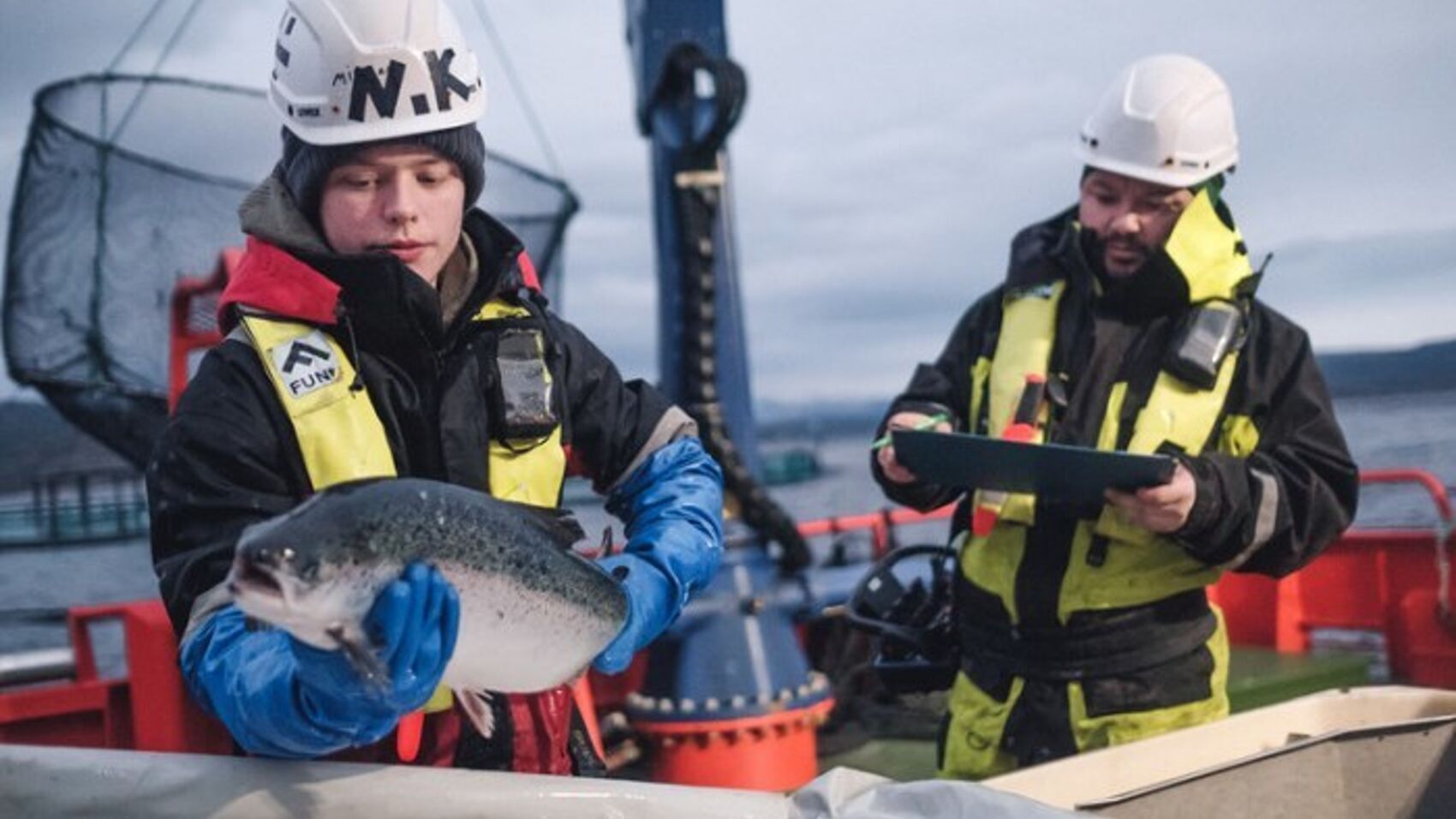 Cermaq publishes quarterly sustainability results on key indicators related to fish health, environmental and social topics.