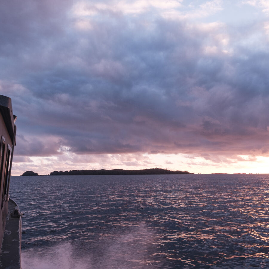 We are investing in our communication strategy as a way to meet customers'  needs  as consumers focus more on health,  where the food comes from and how it has been produced.