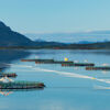 One of Cermaq's farming sites in Nordland, Norway