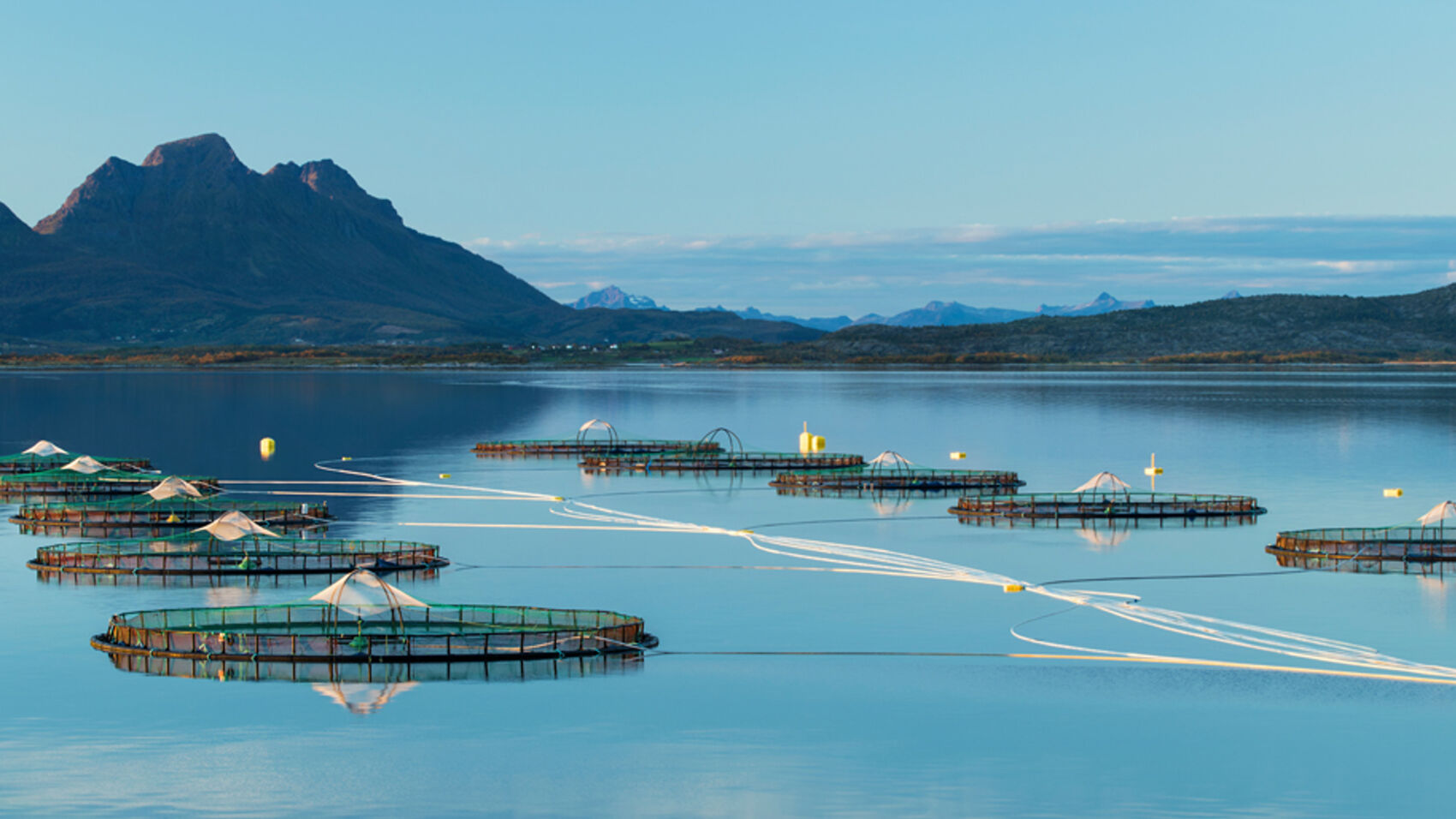One of Cermaq's farming sites in Nordland, Norway