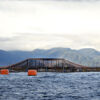 Cermaq farming site in Chile