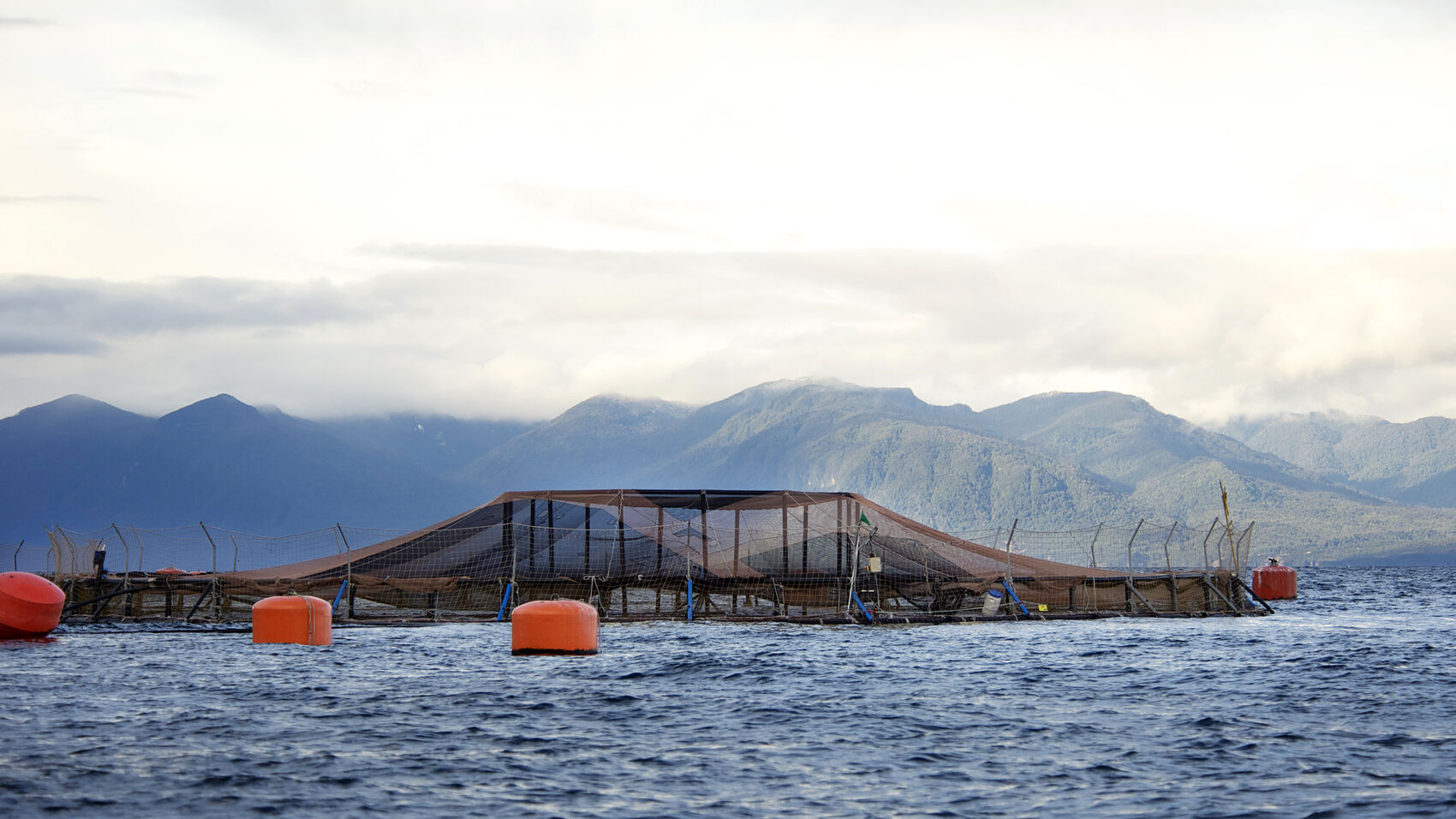 Cermaq farming site in Chile