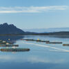 Svartfjell - one of Cermaq's sites in Nordland, Norway