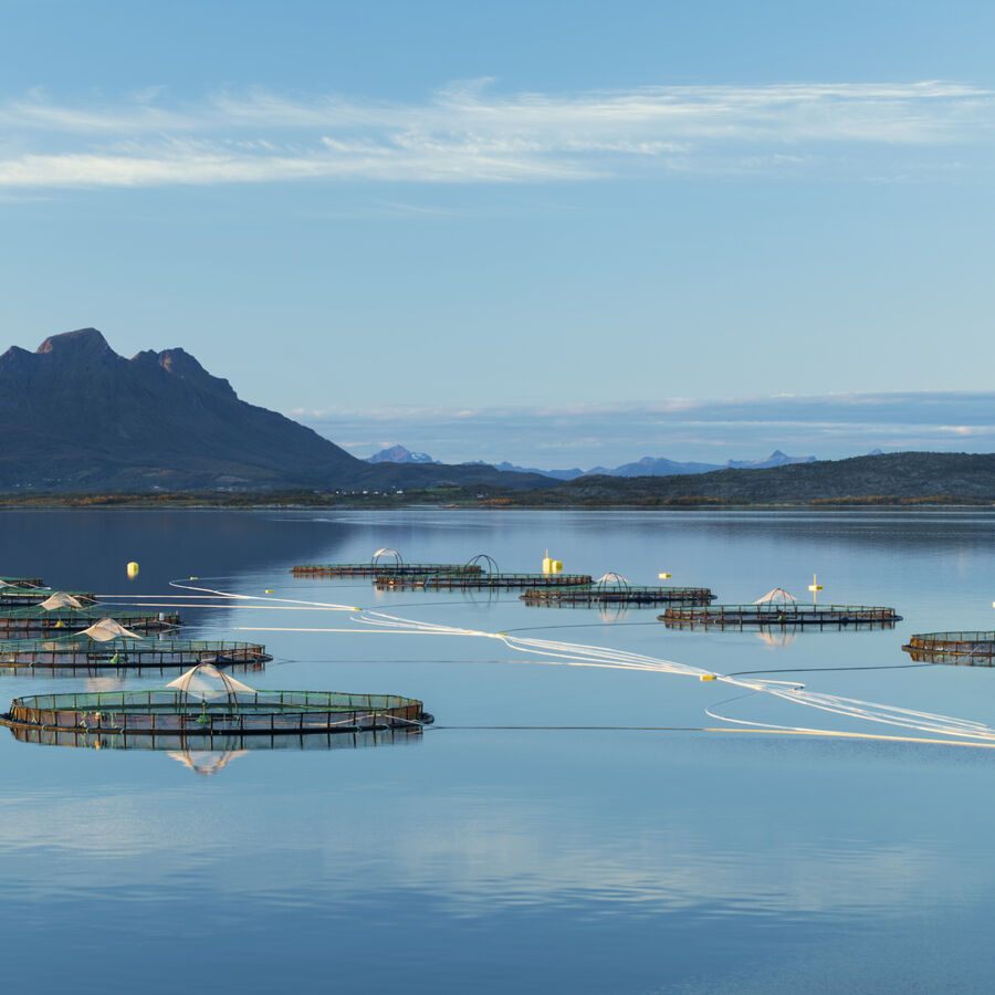 Svartfjell - one of Cermaq's sites in Nordland, Norway