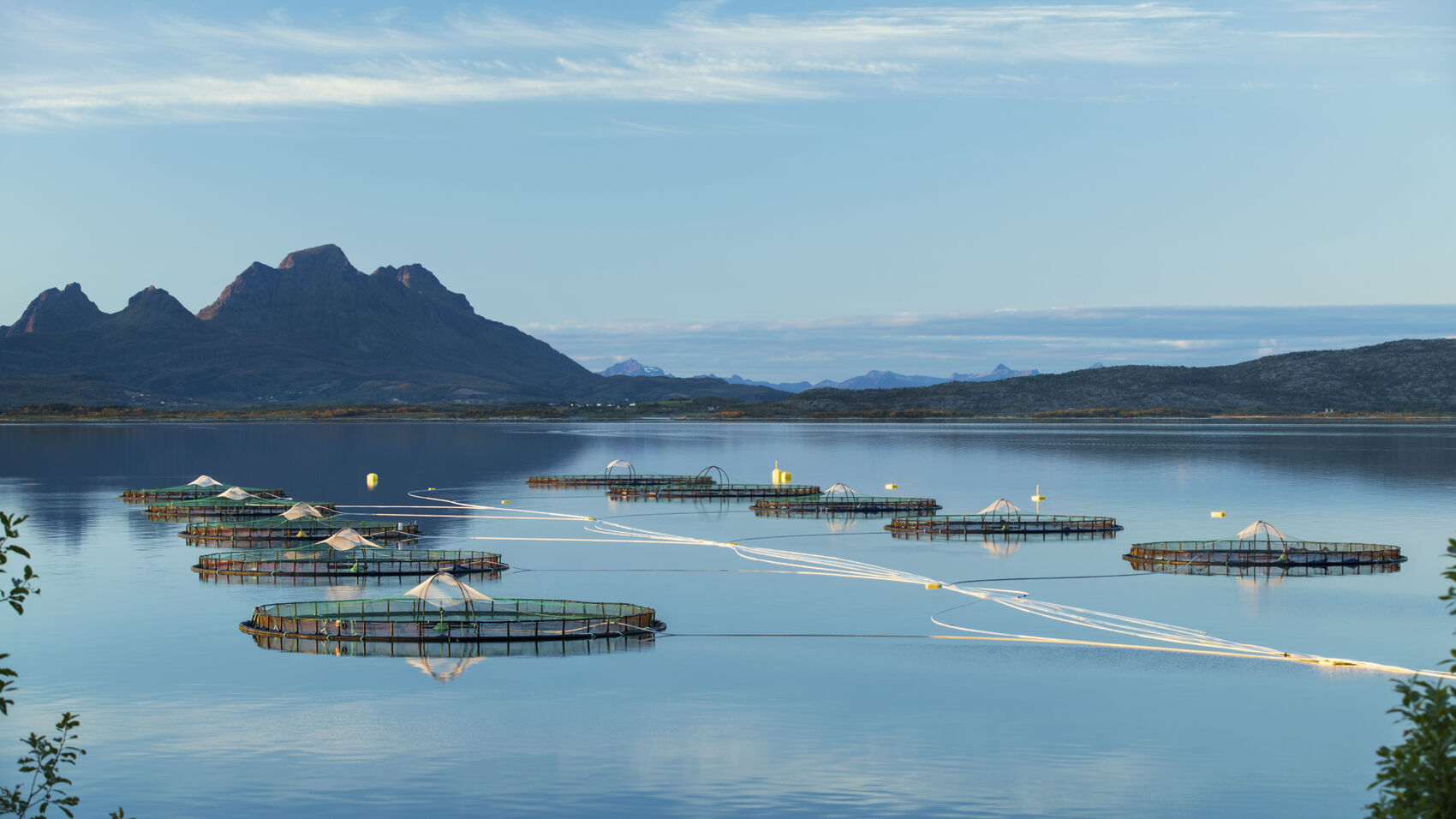 Svartfjell - one of Cermaq's sites in Nordland, Norway