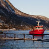 Cermaq’s input to the Norwegian Ministry of Industry and Fisheries regarding growth criteria for the salmon farming