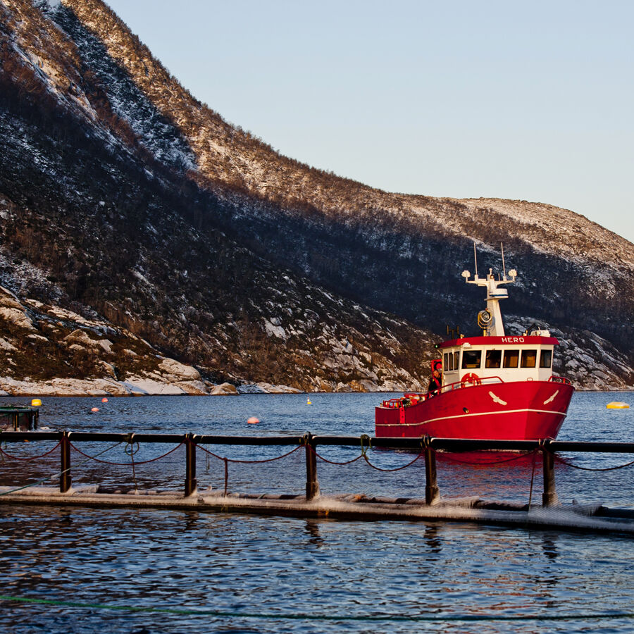 Cermaq best i rapportering av bærekraft