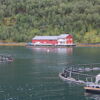 Oksøy site in Nordland (photo by Ander Furuseth/Intrafish.no)