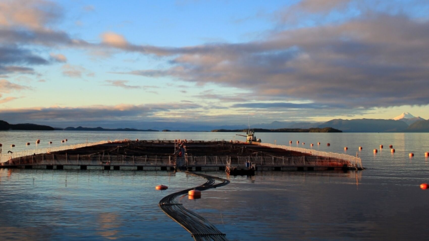 Cermaq has offered fresh water and farming sites to promote further development of Pincoy