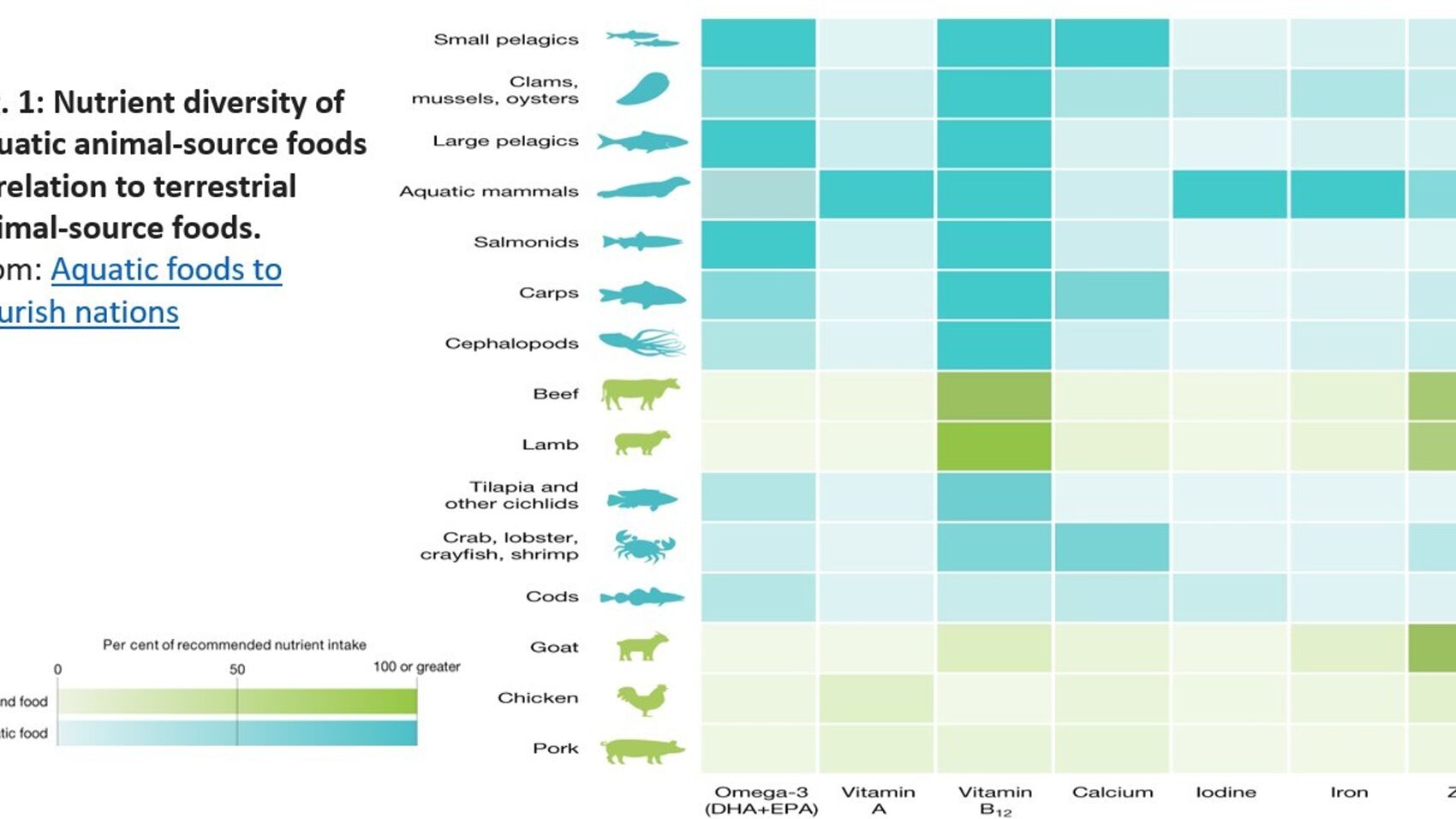 Farming of seafood has enormous potential for increasing healthy food production with little carbon footprint